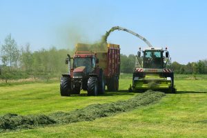 Toenemende focus op meer melk uit eigen ruwvoer
