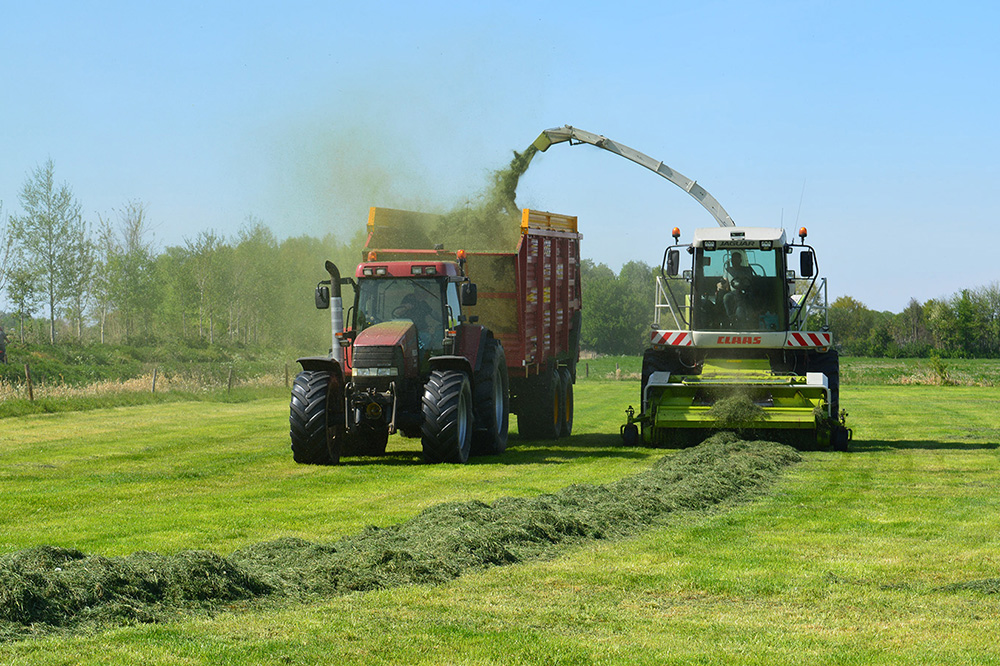 Toenemende focus op meer melk uit eigen ruwvoer