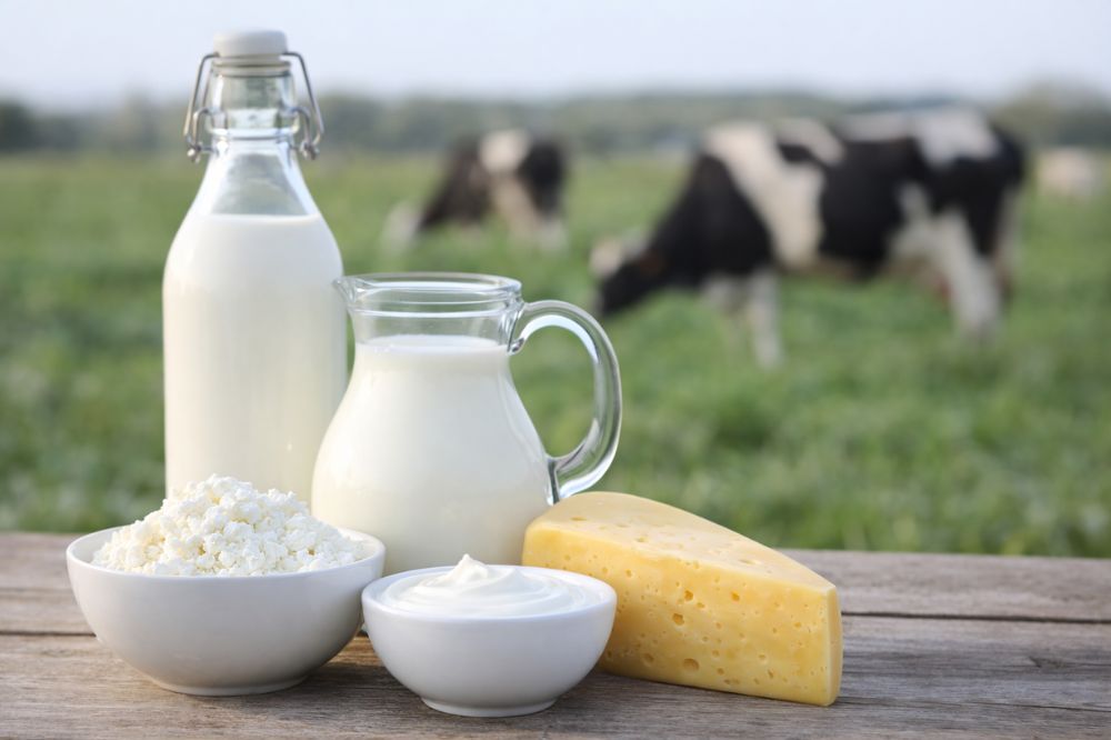 Melkprijs trekt aan, maar de markt blijft onzeker: waar stuurt u op?