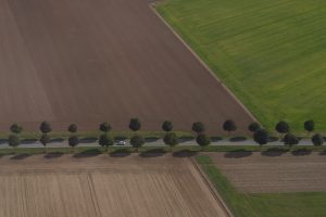 Lichte daling agrarische grondprijs in eerste kwartaal 2026
