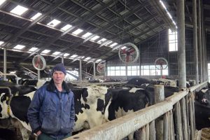 Beter stalklimaat door ventilatoren tegen hittestress