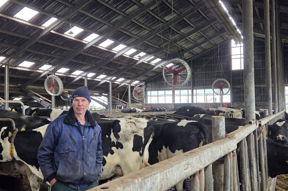 Beter stalklimaat door ventilatoren tegen hittestress