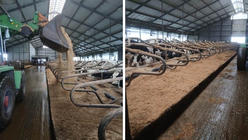 Jantinus Oost strooit nu een op maat gemaakt  Gemalen stro-kalkmengsel  bestaande uit onder andere fijn gemalen stro en het hoogwaardig, natuurlijke calciumcarbonaat Box-Kalk Premium.  