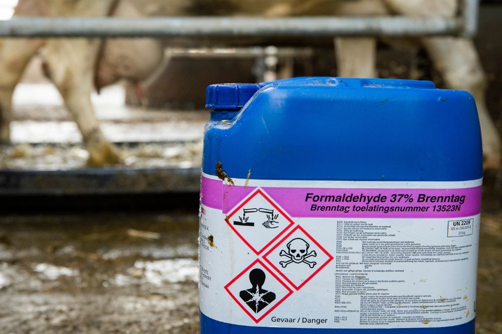 Gezonde klauwen zonder formaline