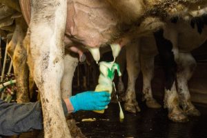 Goede spray of dip ontsmet, maar verzorgt vooral ook de speen
