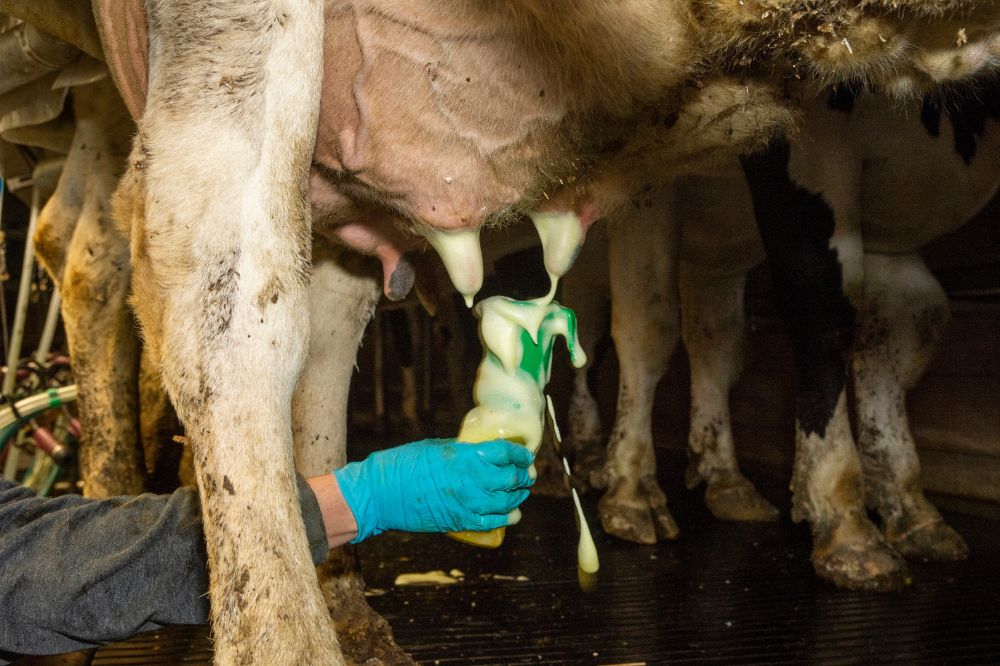 Goede spray of dip ontsmet, maar verzorgt vooral ook de speen