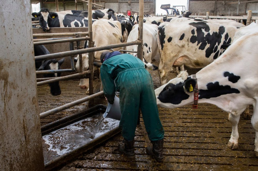 Op weg naar een veilig alternatief voor formaline