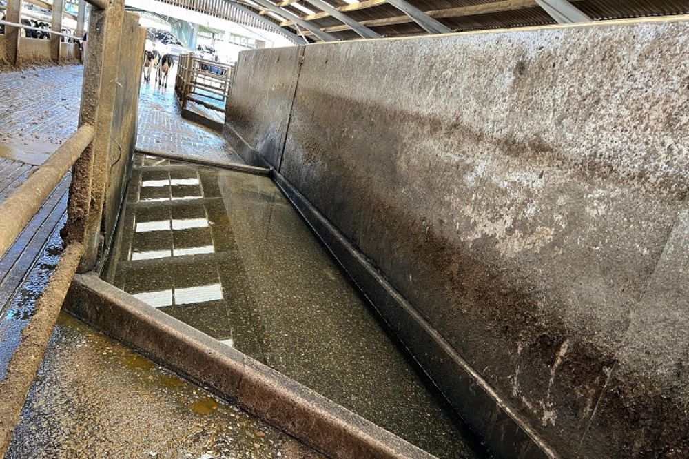 Op weg naar een veilig alternatief voor formaline