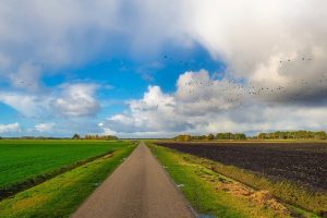 Van vertical farming tot energie voor een heel drop: inspiratiesessies op drie melkveebedrijven