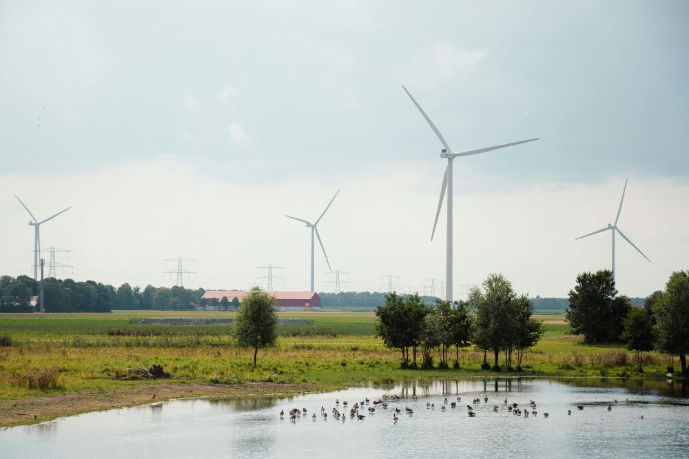 Rabobank: productiedaling van 2,6 procent verwacht in land- en tuinbouw