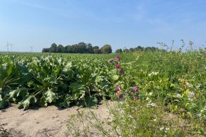 Aanpassing eco-activiteit wegens overmacht door droogte
