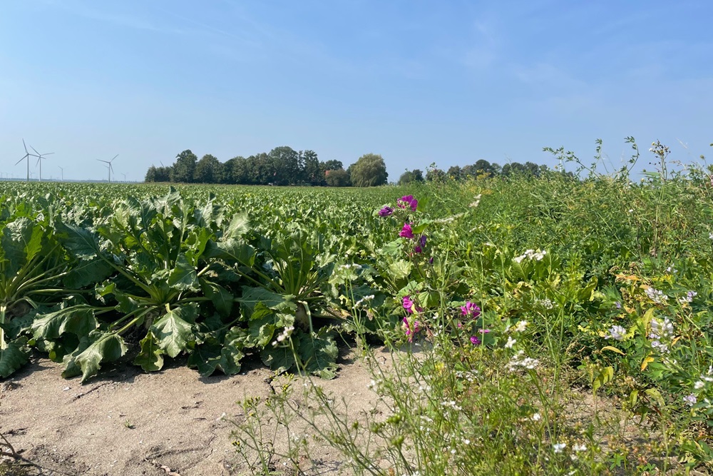 Aanpassing eco-activiteit wegens overmacht door droogte