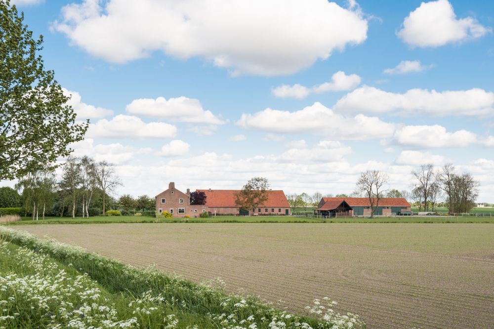 Innovatieprijs: slimme landbouwideeën krijgen podium op Zwarte Cross