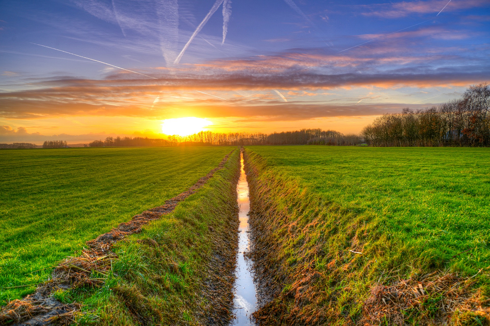 Grond is schaars en duur. Slimme kavelruil kan boeren helpen aan betere verkaveling, lagere kosten en meer toekomstperspectief voor het bedrijf.