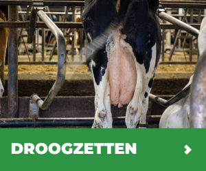 MVB.nl S1B2 - Programma Droogzetten