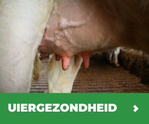 MVB.nl S1B3 - Programma Uiergezondheid