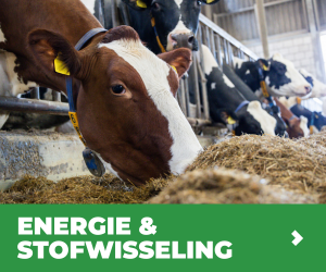 MVB.nl S1B4 - Programma Energie & Stofwisseling
