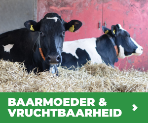 MVB.nl S1B6 - Programma Baarmoedergezondheid & vruchtbaarheid