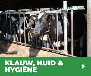 MVB.nl S1B8 - Programma Klauw, huid & hygiëne