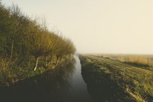 Nieuwe subsidie voor agrariërs op zandgrond in delen van Drenthe