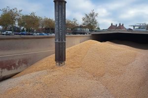 Mais lossen bij ABZ Diervoeding in Nijkerk