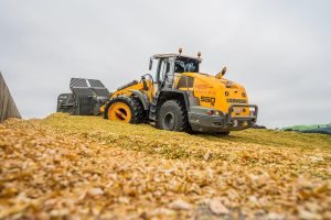 Droogte verhoogt risico op kuilgassen in maiskuil
