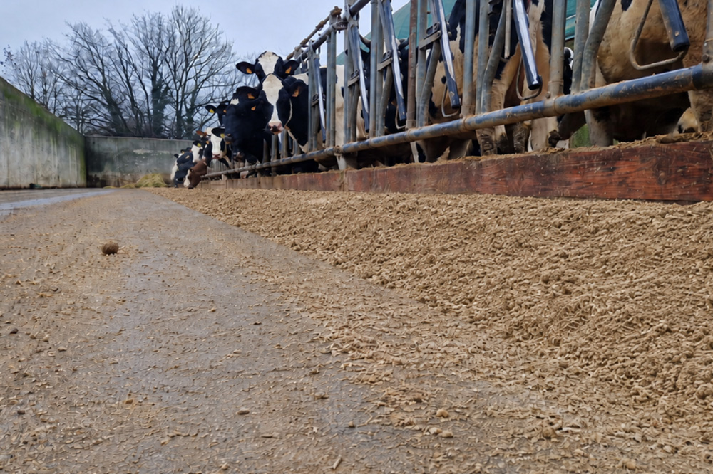 Pellets 15-20% goedkoper dan Spaans stro