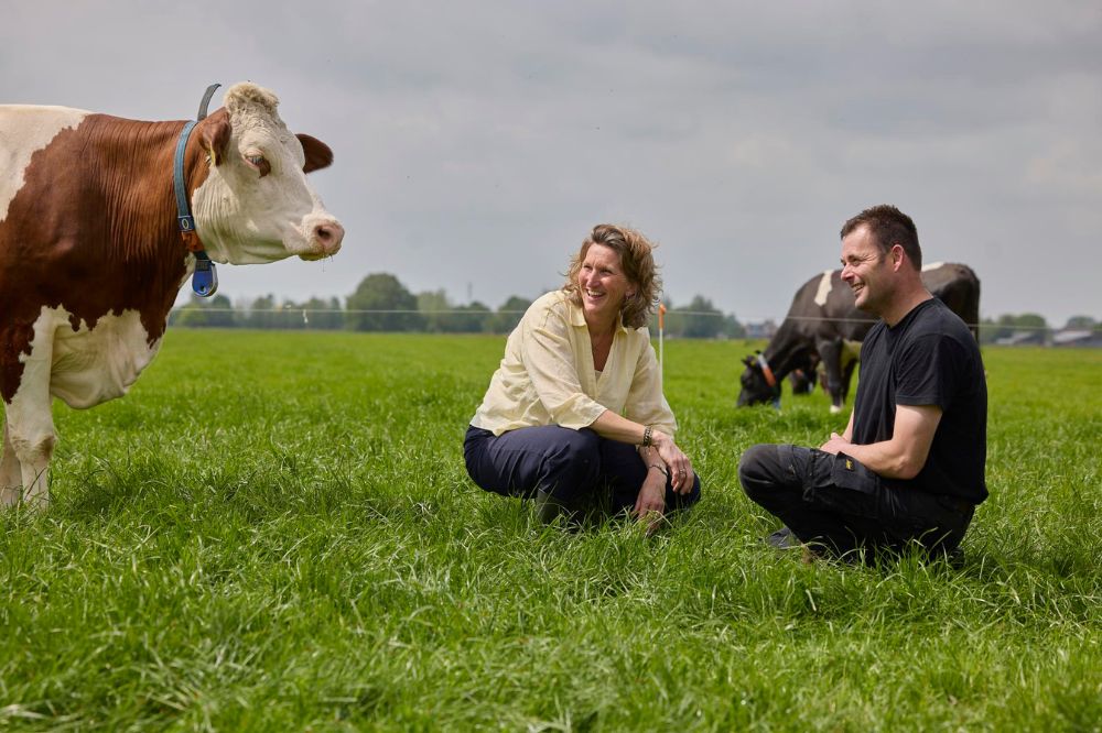 Arla Foods verhoogt groeiverwachting ondanks lagere melkprijs