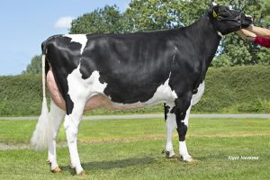 Koepon Parfect Range 113 RF  VG-87
