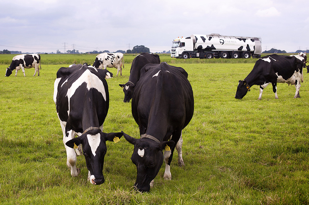 Af-boerderijprijs zuivel stabiliseert in juni