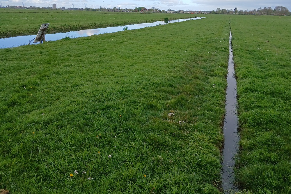 Foto greppelveld 1000
