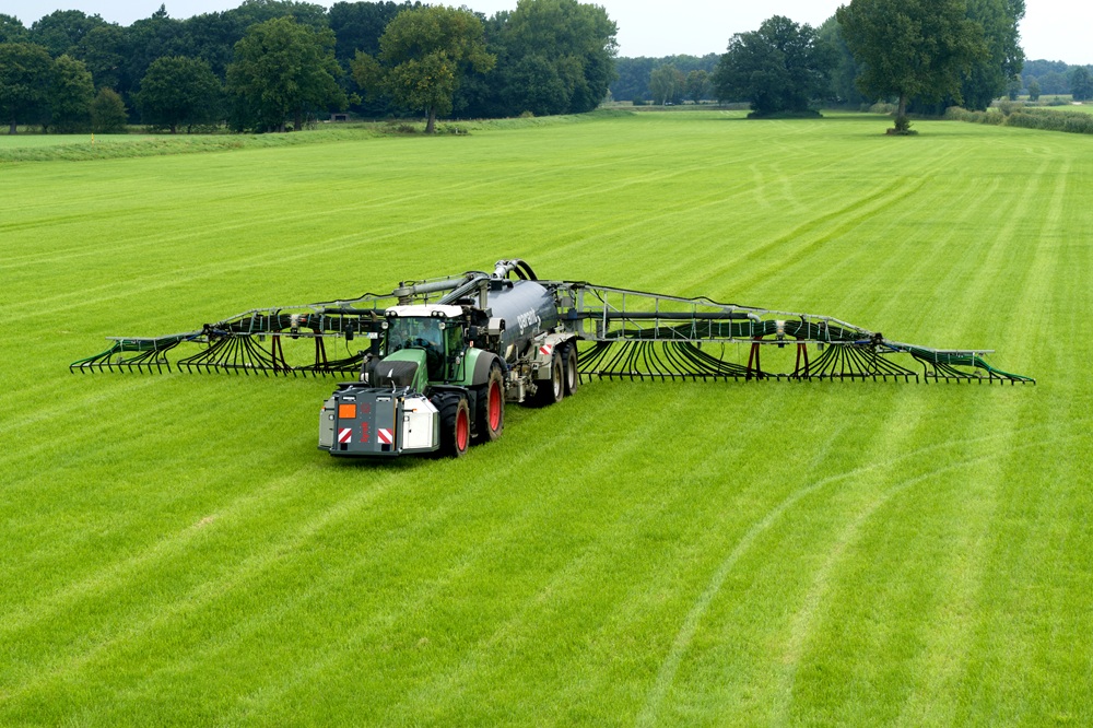 SyreN auf Gras