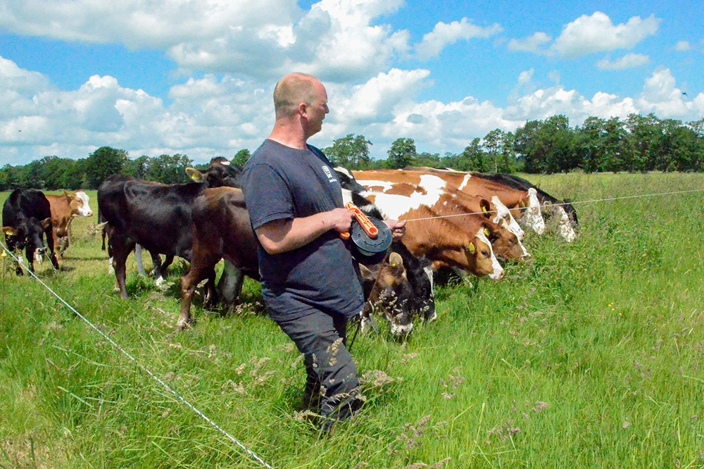 Natuurinclusief boeren kan rendabel: "Diversiteit is een verdienmodel op zich"