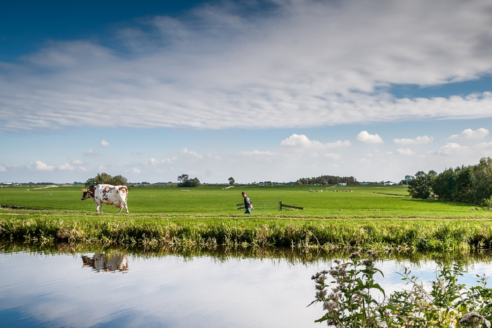Agro Vertrouwensindex melkveehouders