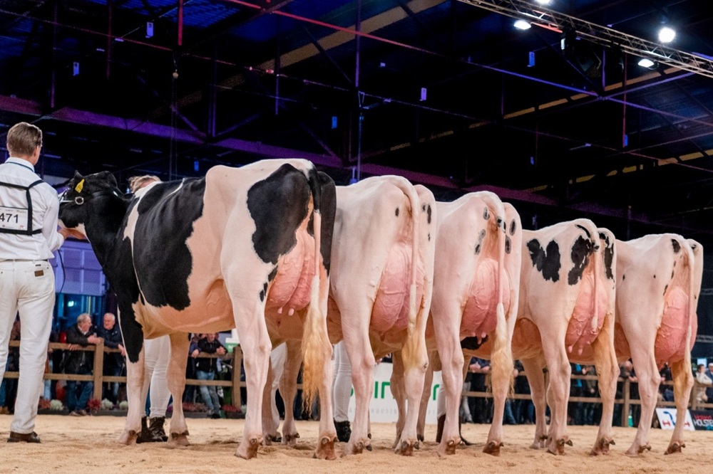 Dochtergroep HHH 2022 1000