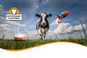 Dutch Dairy Challenge 2027 1000x666