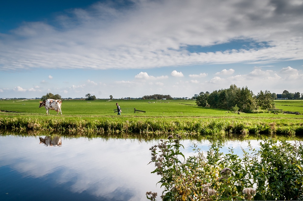 Werken aan een sterke bodem: praktijkvoorbeelden voor beter waterbeheer
